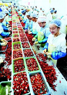 農(nóng)產(chǎn)品加工業(yè)成荊州支柱 湖北農(nóng)產(chǎn)品加工業(yè)突破萬億