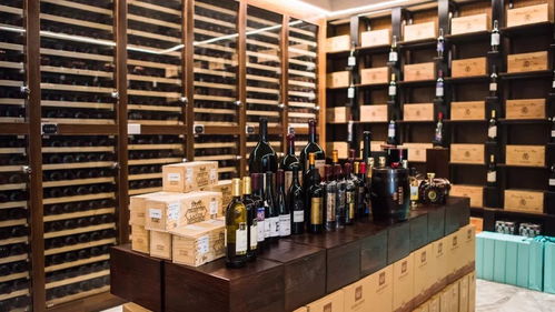 明天讓我們去臨沂離法國更近的地方走一走,6.21,菲琳酒莊 奢耀全城...